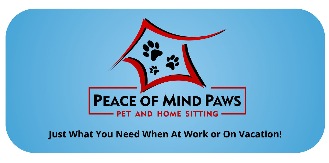 Pet Sitting Animal Care